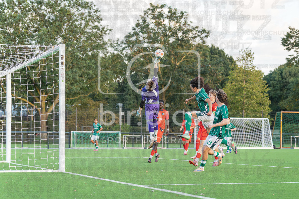SV Werder Bremen II - Bremer SV | SV Werder Bremen II - Bremer SV