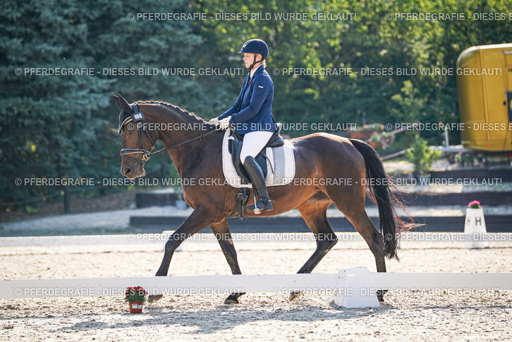 DSC09154 | Pferdegrafie