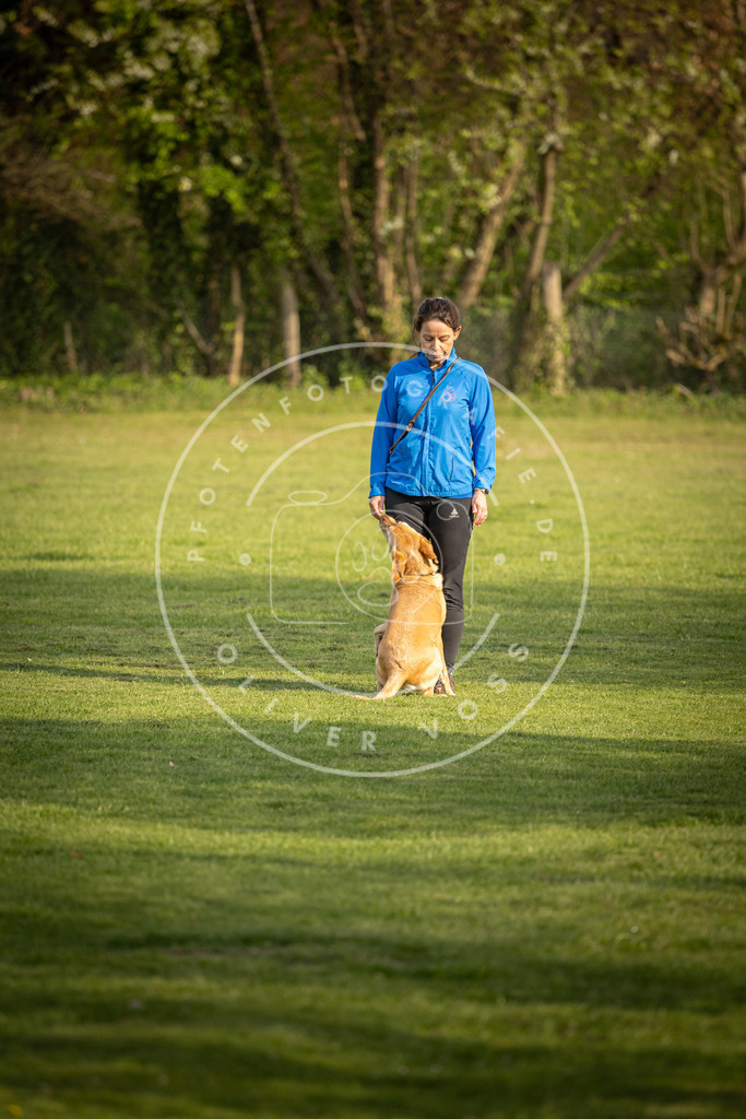 Pfotenfotografie_DV3A4779 | Hundefotografie, Tierfotograf, Pfotenfotografie, Fotoshooting Hund, Hunde Portrait, Hundesport, Hundeportraits, Heideshooting, Hunde, Sportfotograf, Hundefotograf, Turnierhundsport, THS,  - Realisiert mit Pictrs.com