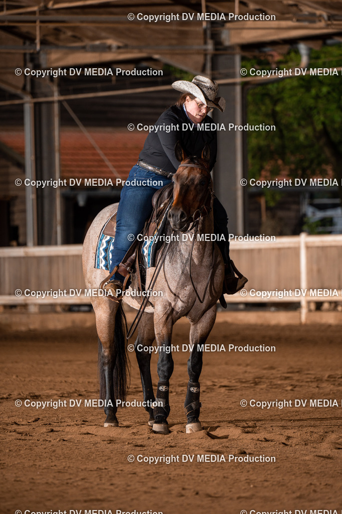 Erbach Tag 3-923 | dv-media-shop - Realisiert mit Pictrs.com