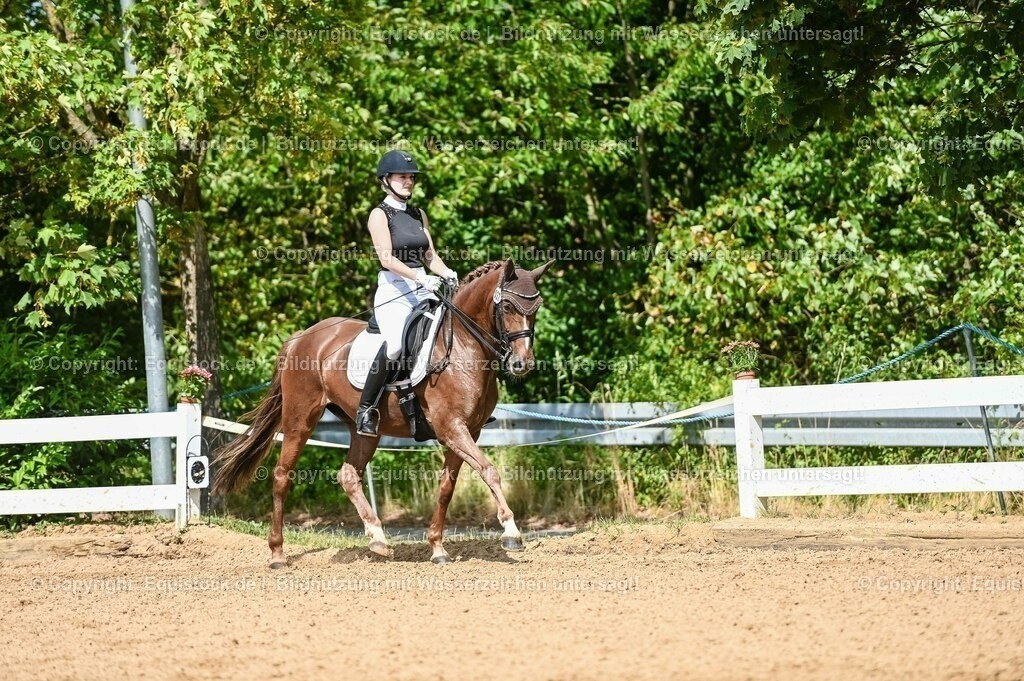 20230716_01_Dressurprüfung Kl.M_0318 | equistock