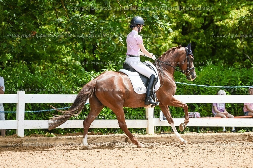 20230716_03_Dressurprfg. Kl.L - Tr._0235 | equistock
