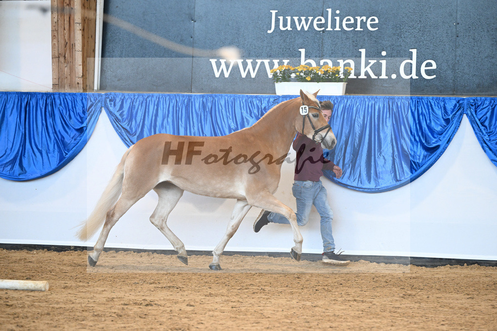 Bl. Band Kat-Nr. 15 Hanna v. Sterlington_Karrer_48241231 | hf-fotografie - Realisiert mit Pictrs.com