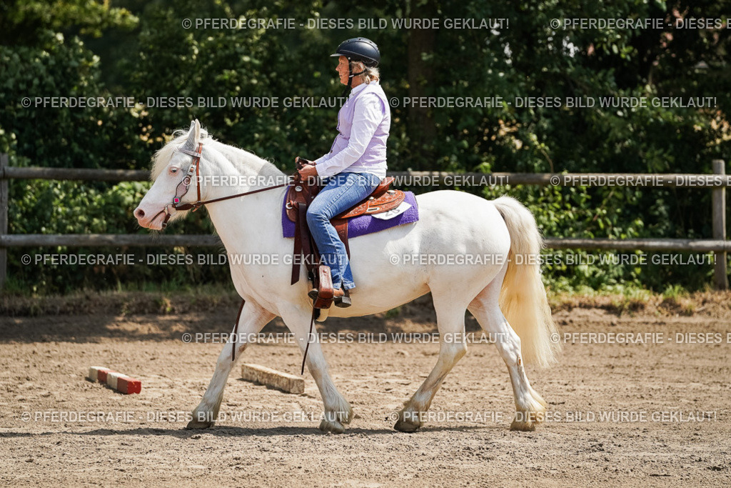 DSC07241 | Pferdegrafie