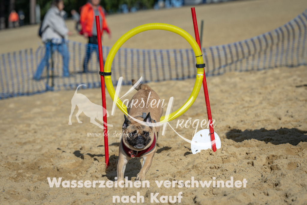 1115_ZZ90822 | kk-dogfotos