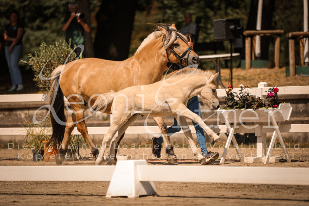 05.DoF00077 | Leoni Ertmer Photography - Realisiert mit Pictrs.com