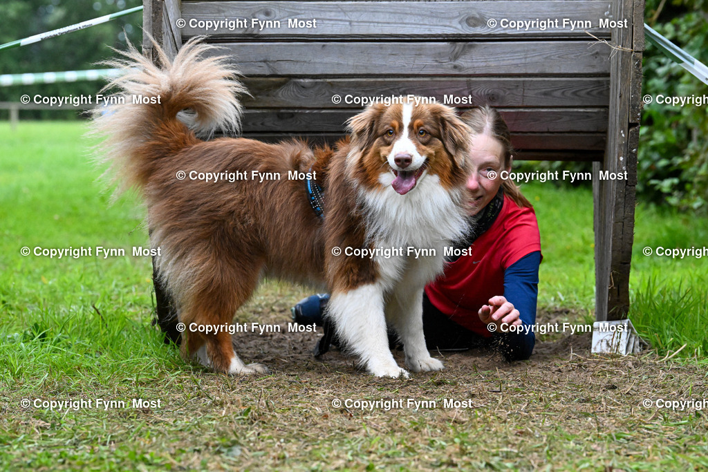 DSC_0011 | Hallo und herzlich Willkommen auf meiner Shop-Seite Fynn Most.

Ich wünsche Dir viel Spaß beim stöbern durch die Bilder, wenn Du Fragen hast oder Bilder vermisst, kannst du mir gerne eine Nachricht schreiben. - Realisiert mit Pictrs.com