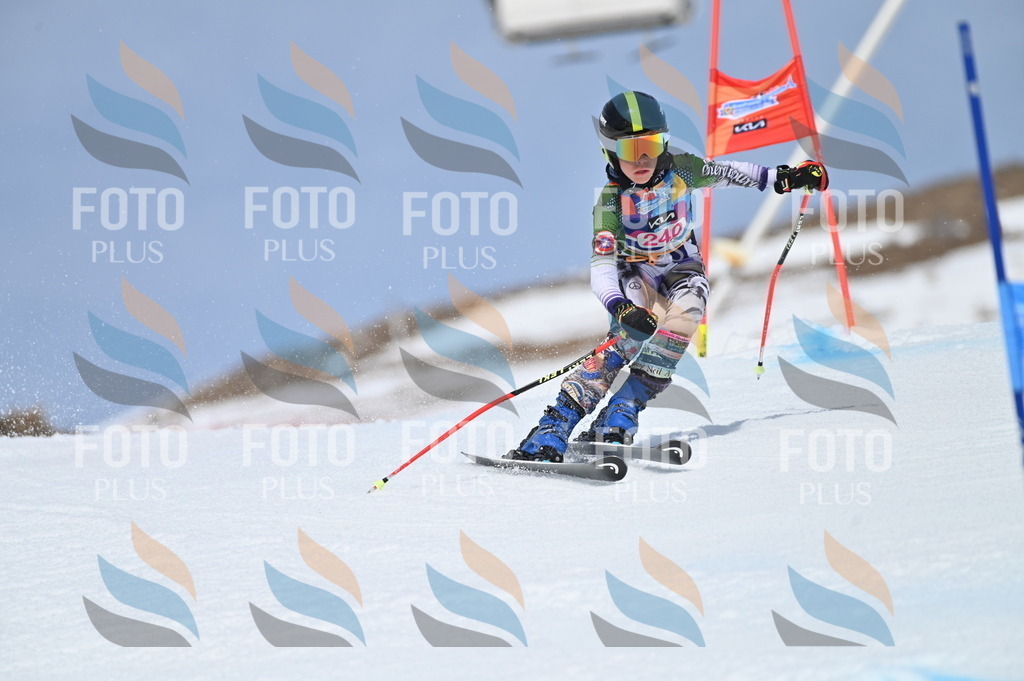 BGV_1697 | holidayphoto