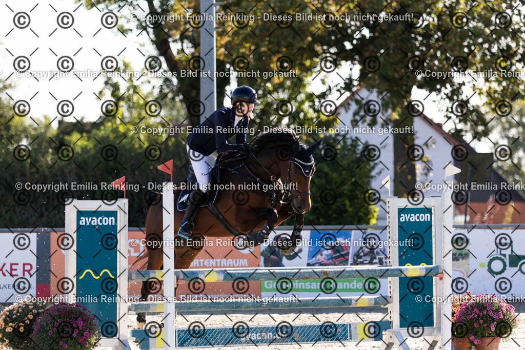 CL5A1206 | Emilia Reinking Fotografie - Realisiert mit Pictrs.com