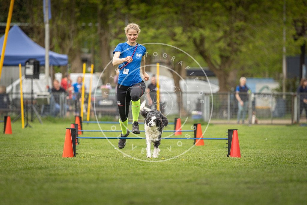 Pfotenfotografie_DV3A8186 | Hundefotografie, Tierfotograf, Pfotenfotografie, Fotoshooting Hund, Hunde Portrait, Hundesport, Hundeportraits, Heideshooting, Hunde, Sportfotograf, Hundefotograf, Turnierhundsport, THS,  - Realisiert mit Pictrs.com
