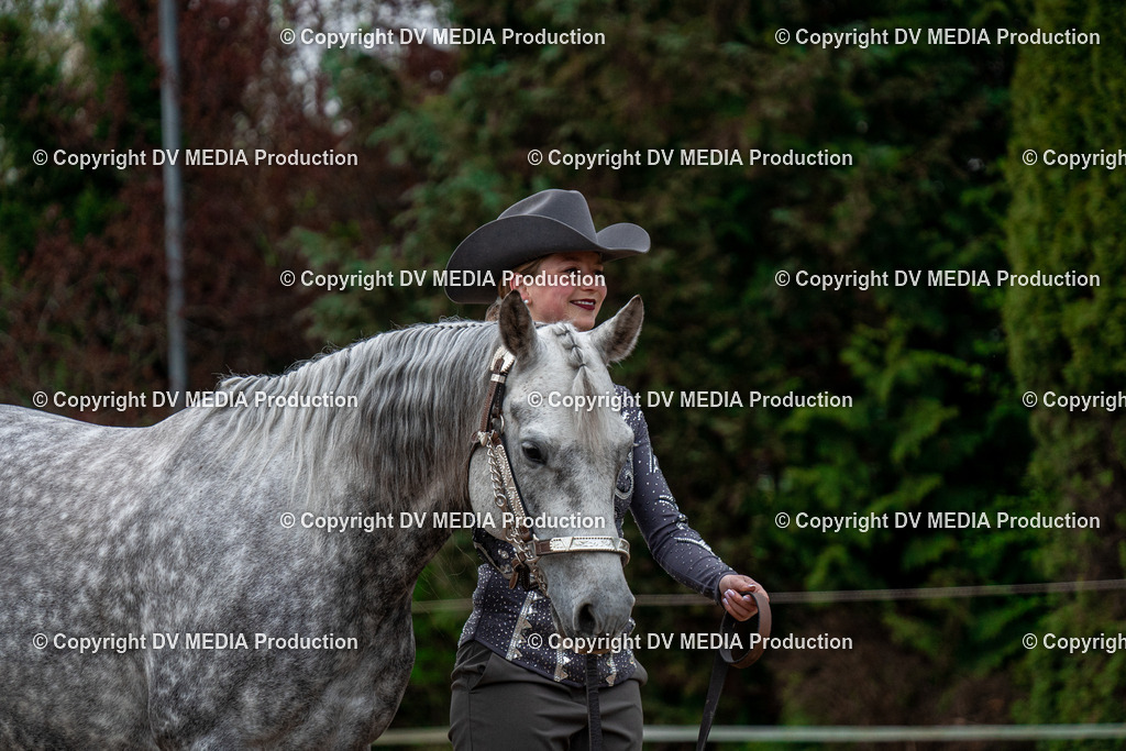 BA300054 | dv-media-shop - Realisiert mit Pictrs.com