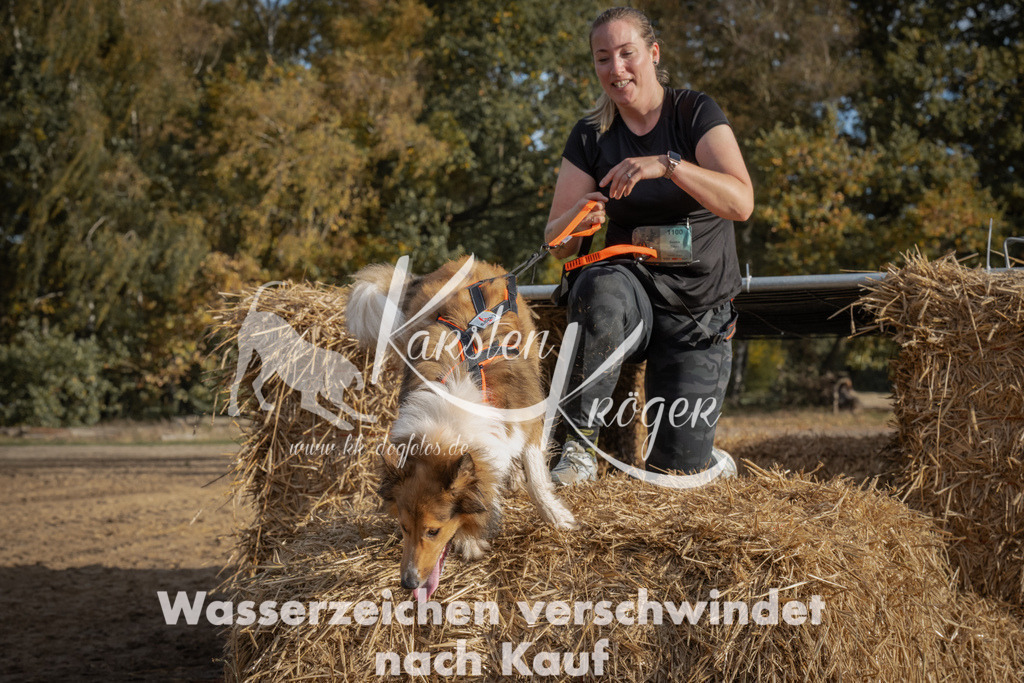1035_ZZ98895 | kk-dogfotos