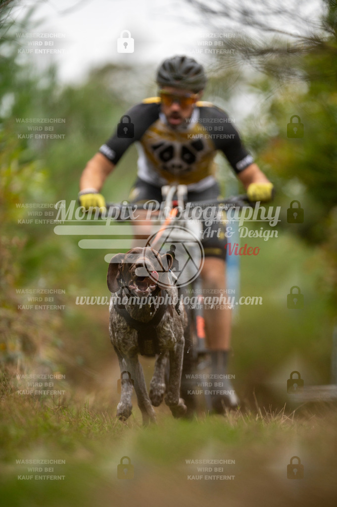 TSB_2023_E5_Bike-8 | PayLife