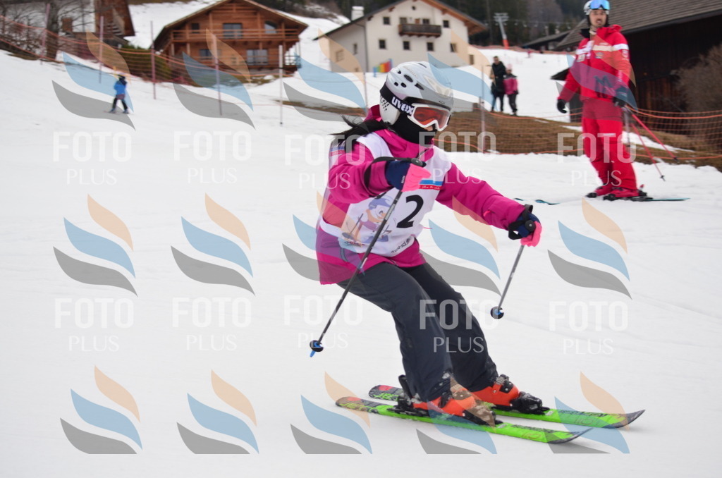 C0195 | holidayphoto