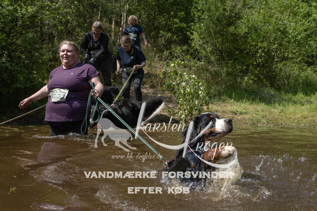 1425DKK990298 | kk-dogfotos