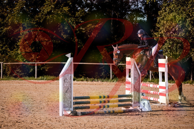 2026_10_03_Siefer-Hof_155618_Z81_75731639 | Professionelle Reitsport-, Turnier- und Eventfotografie von Robert Broda. Galerien mit ausgewählten und bearbeiteten Bildern direkt online ansehen und bestellen.