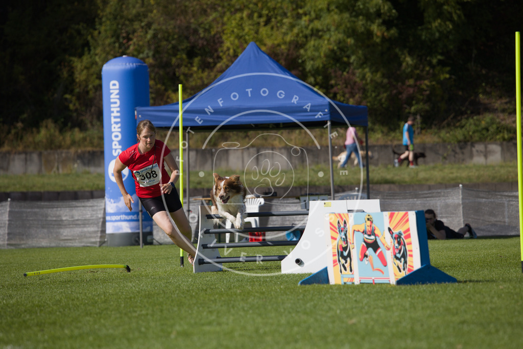 0L8A8368 | Hundefotografie, Tierfotograf, Pfotenfotografie, Fotoshooting Hund, Hunde Portrait, Hundesport, Hundeportraits, Heideshooting, Hunde, Sportfotograf, Hundefotograf, Turnierhundsport, THS,  - Realisiert mit Pictrs.com