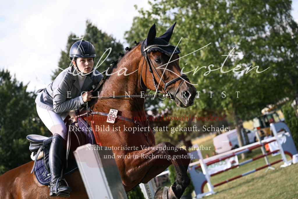 DSC_1359 | Pferde- und Turnierfotografie in Westsachsen. Pferdeportraits, Auftragszeichnungen und intuitive Kunst.