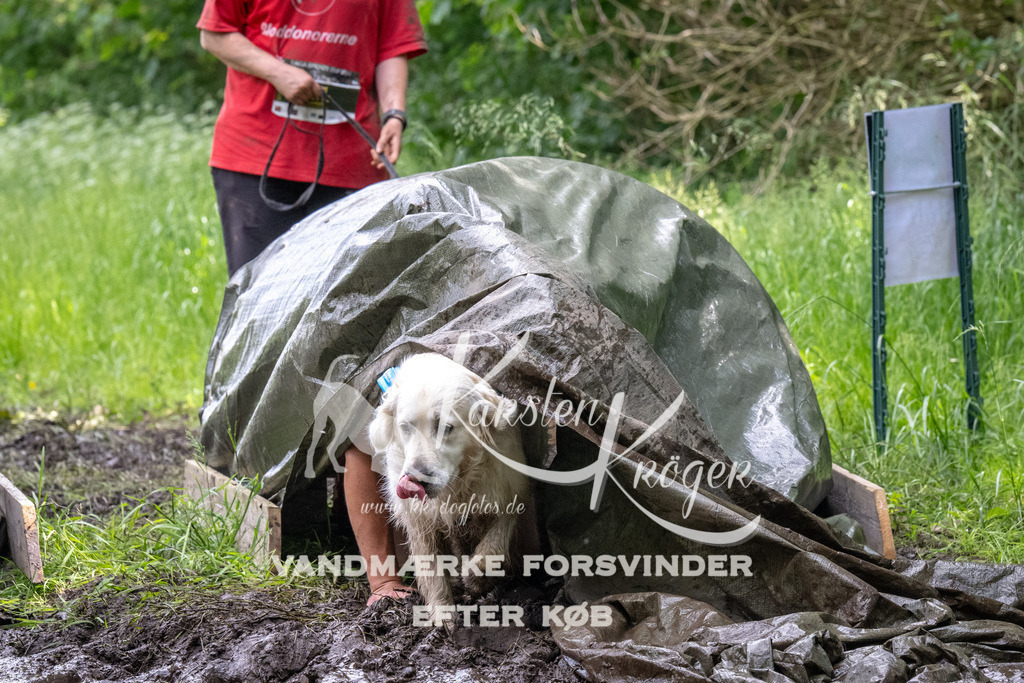 1248_ZZ93578 | kk-dogfotos
