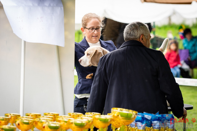 Clubsiegershow BCS  | Clubsiegershow BCS in Villmergen. 14.05.2023 Foto: Leo Wyden