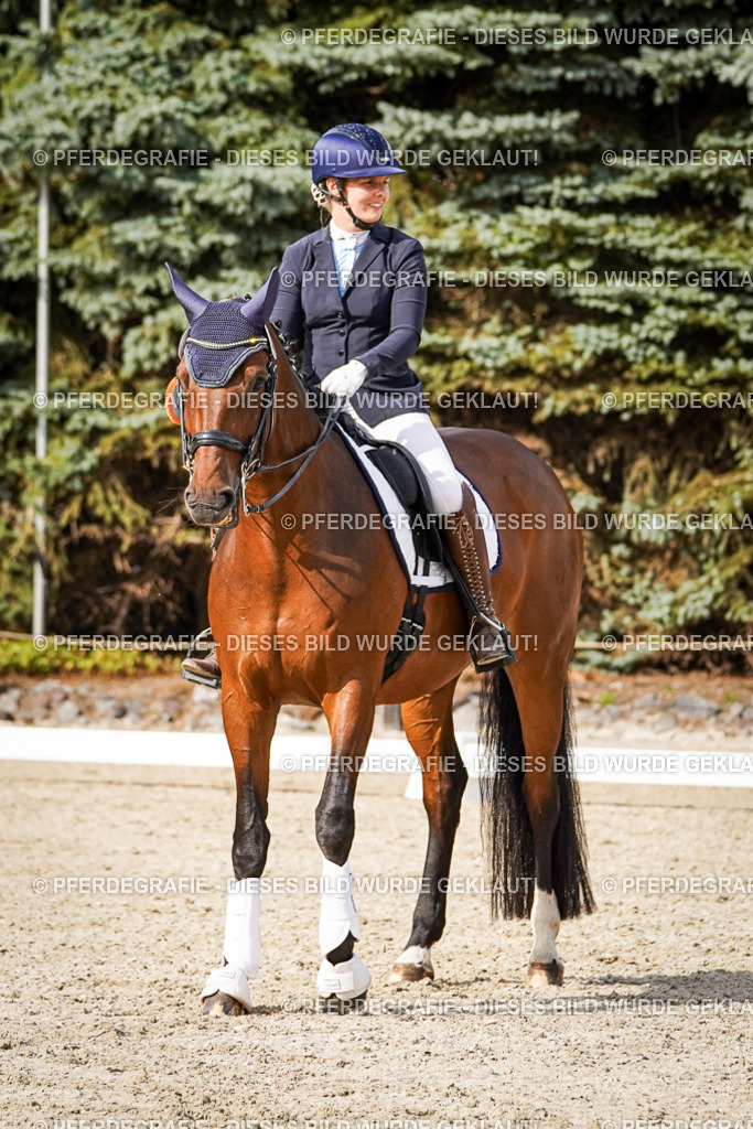 DSC07583 | Pferdegrafie