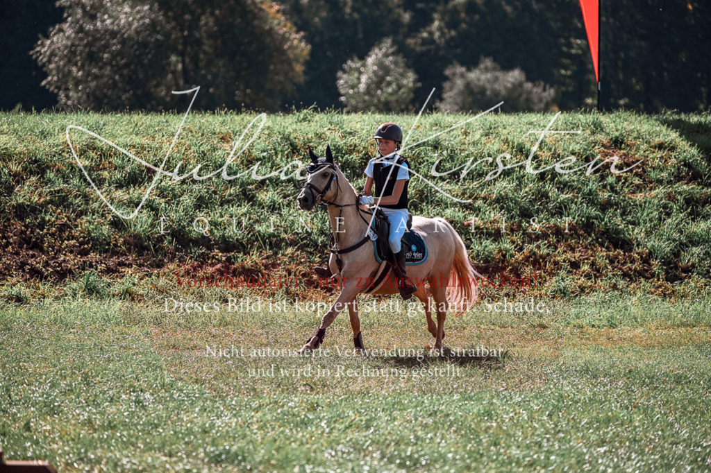 DSC_1049 | Pferde- und Turnierfotografie in Westsachsen. Pferdeportraits, Auftragszeichnungen und intuitive Kunst.