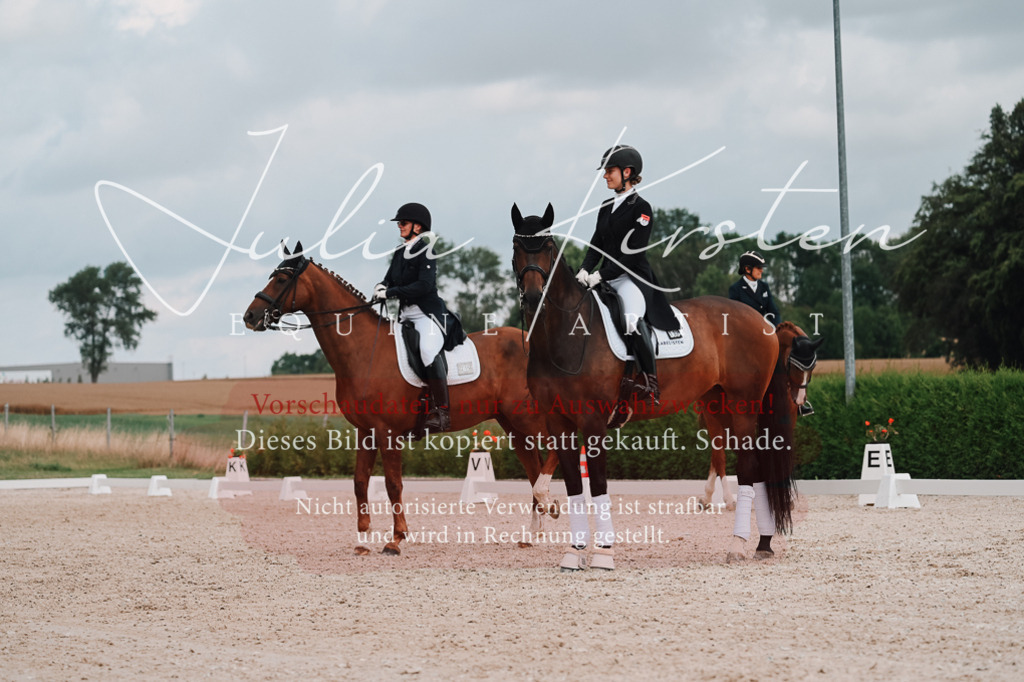 DSC_4105 | Pferde- und Turnierfotografie in Westsachsen. Pferdeportraits, Auftragszeichnungen und intuitive Kunst.