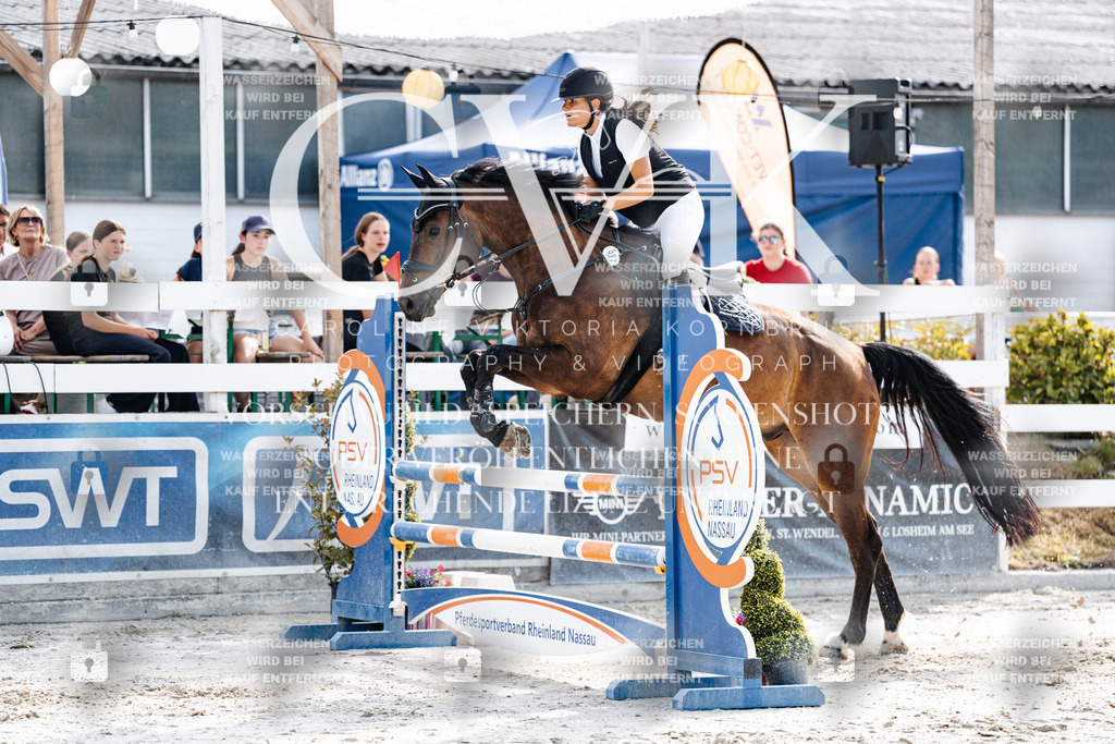 CK905859 | Turnierfotografie Pferdefotografie Trier Rheinland-Pfalz Pferdesport Reitsport Tierfotografie Sportfotografie Pferdevideo Pferdevideografie Equestrianvideography equestrianphotography  - Realisiert mit Pictrs.com