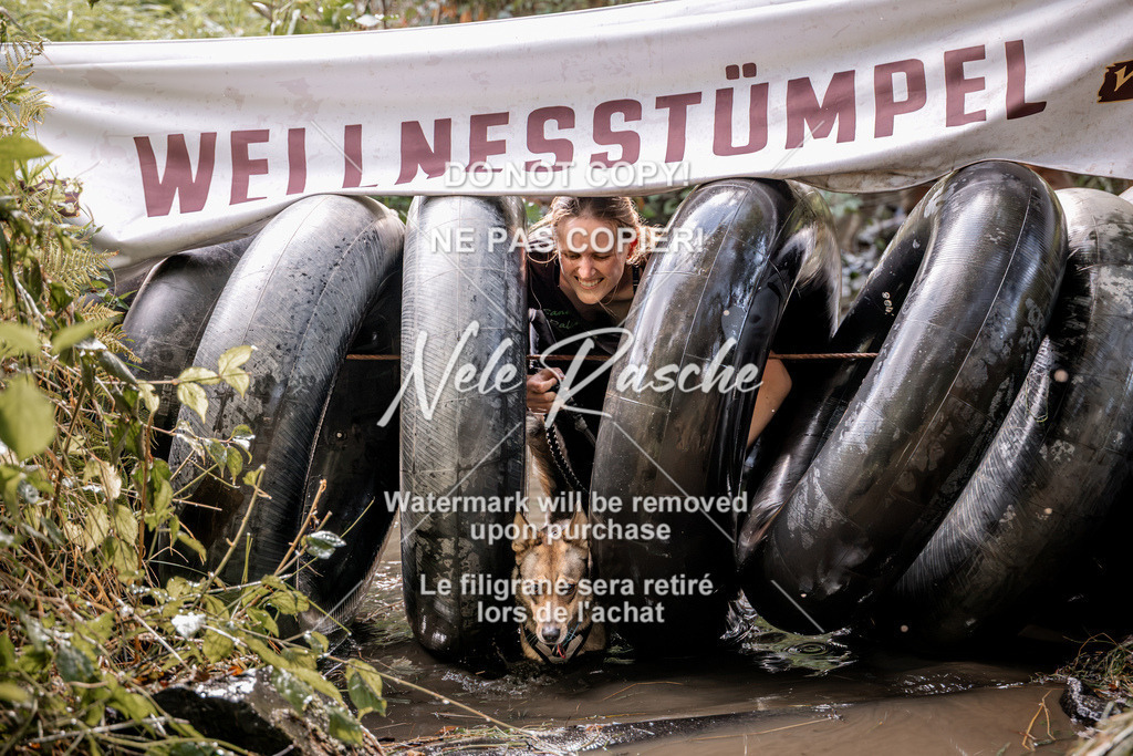 nelerasche_Hunsrück2026_Sa1400-1500_262 | nelerasche