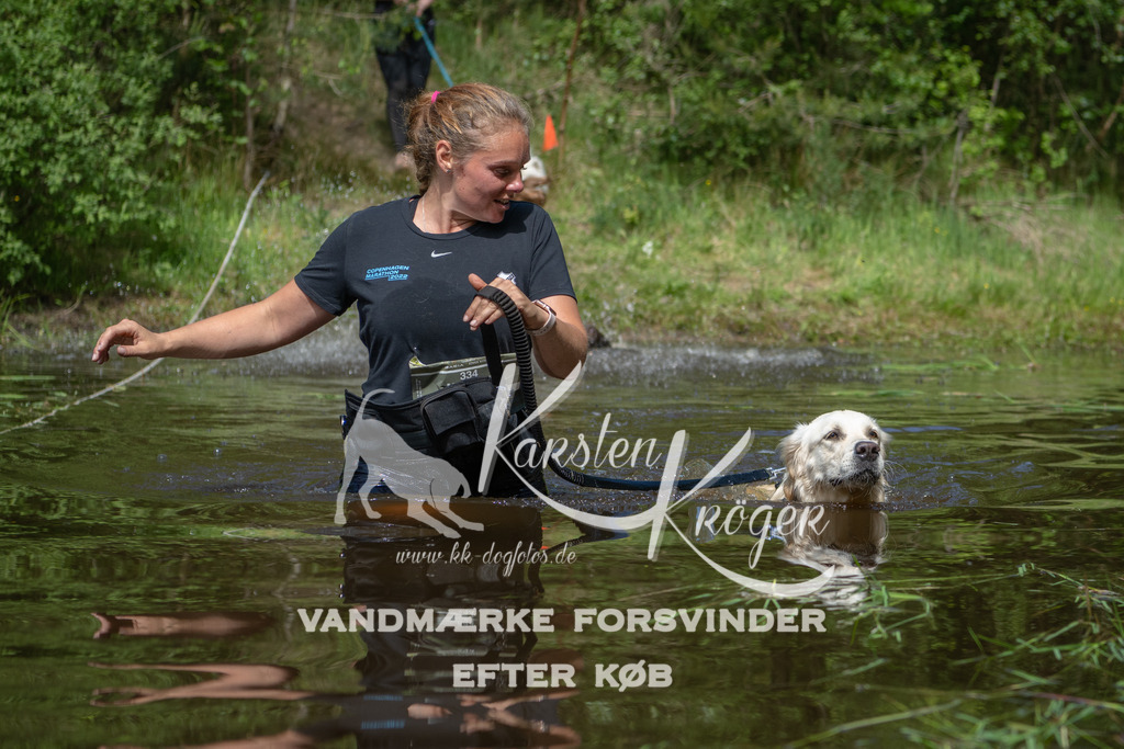 1139DKK990728 | kk-dogfotos