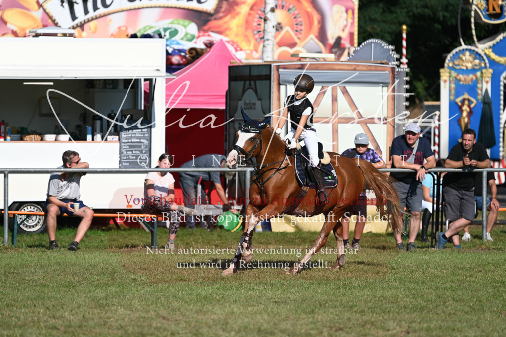 DSC_4968 | Pferde- und Turnierfotografie in Westsachsen. Pferdeportraits, Auftragszeichnungen und intuitive Kunst.