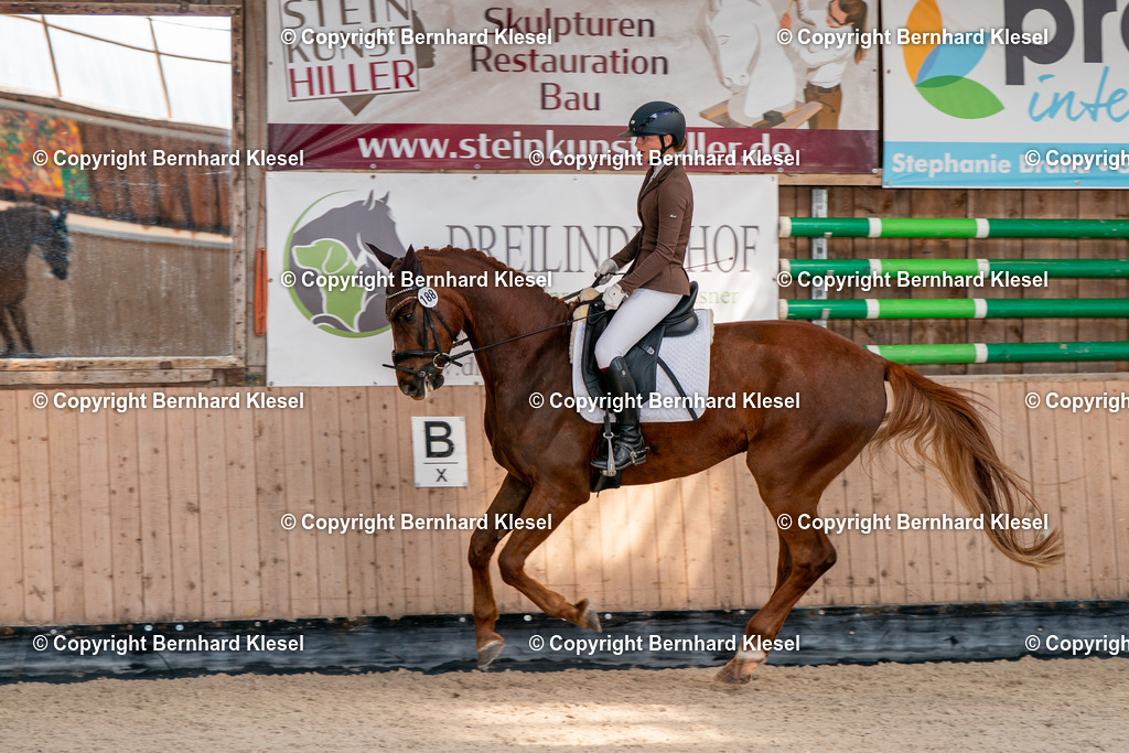 2A900652 | foto-team-bernhard - Realisiert mit Pictrs.com