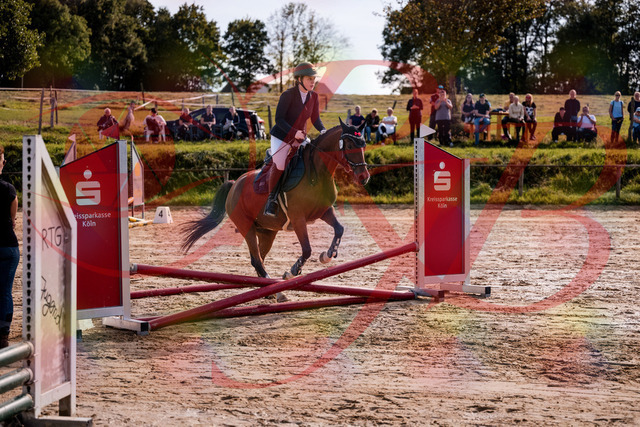 2026_10_03_Siefer-Hof_145651_Z81_37975874 | Professionelle Reitsport-, Turnier- und Eventfotografie von Robert Broda. Galerien mit ausgewählten und bearbeiteten Bildern direkt online ansehen und bestellen.