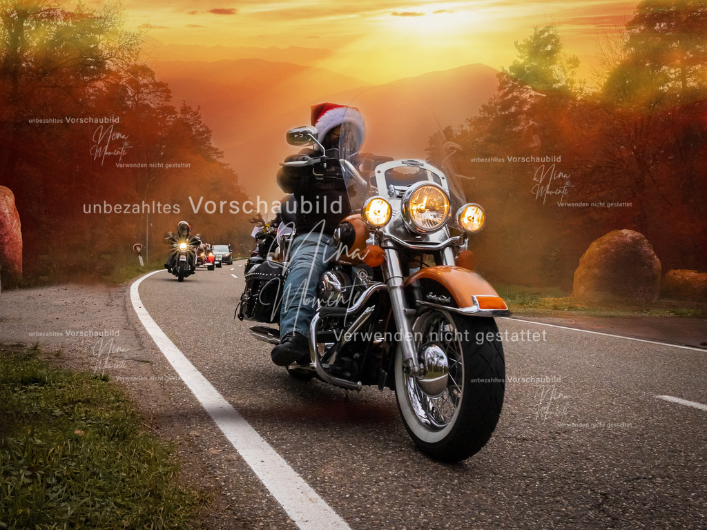 _16A2918-1 | Einzigartige Fotos von Hunden & Menschen –Actionfotos, Portraits, Vereinsaufnahmen & Paarshootings – authentisch, lebendig & mit Herz.