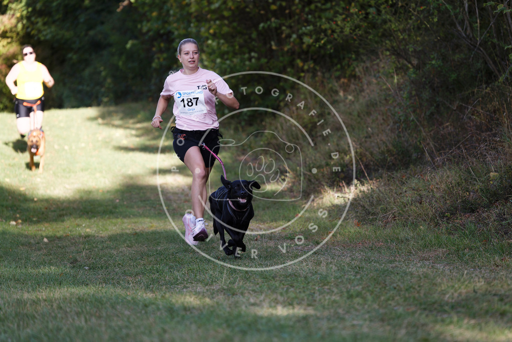 0L8A5483 | Hundefotografie, Tierfotograf, Pfotenfotografie, Fotoshooting Hund, Hunde Portrait, Hundesport, Hundeportraits, Heideshooting, Hunde, Sportfotograf, Hundefotograf, Turnierhundsport, THS,  - Realisiert mit Pictrs.com
