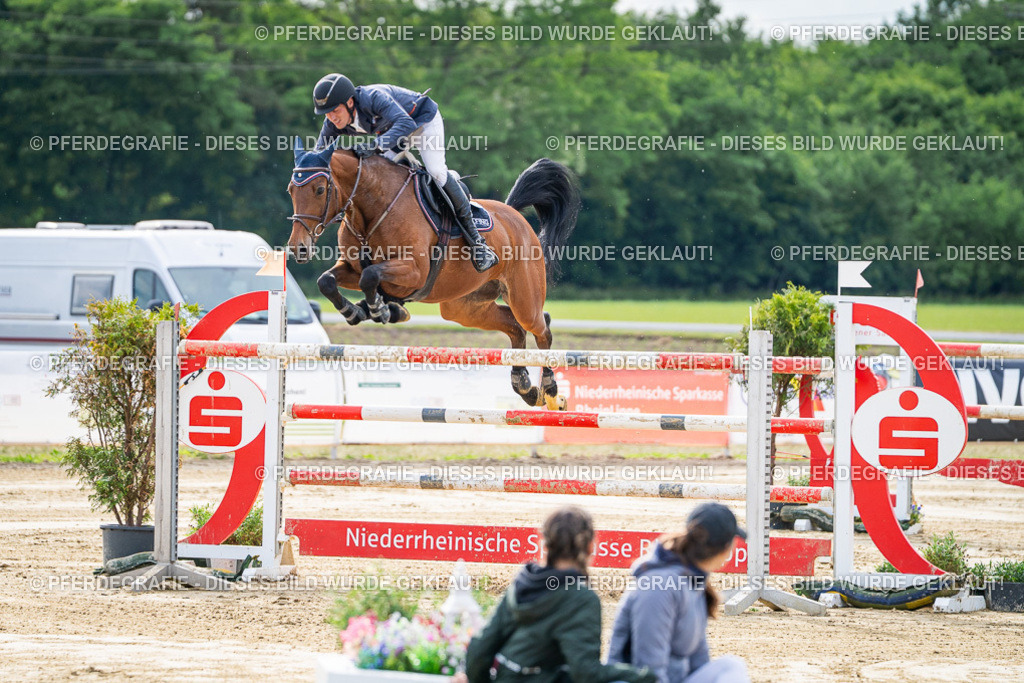 DSC07302 | Pferdegrafie