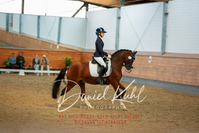 _62_7287 | Turniersportfotografie; Pferdefotografie; Dressurfotografie