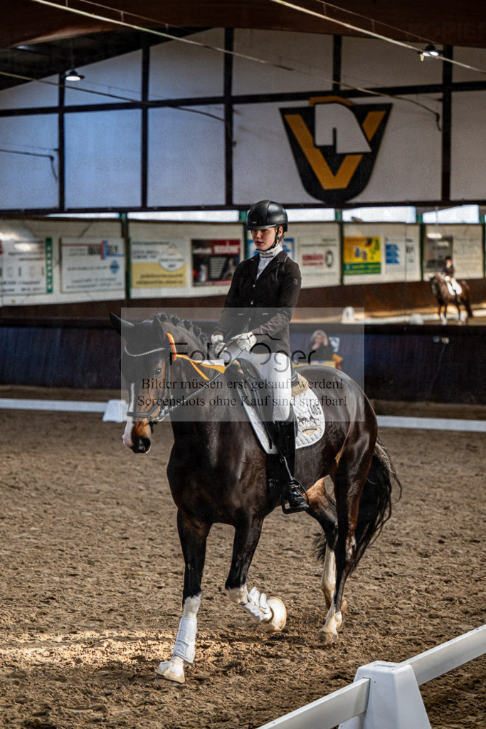 20240308-DOS_4660 | Entdecke hochwertige Reitturnierfotos von Foto Oger. Professionell, emotional und authentisch – jetzt Lieblingsmomente im Shop bestellen.Deutschlandweite Turnierfotografie. - Realisiert mit Pictrs.com