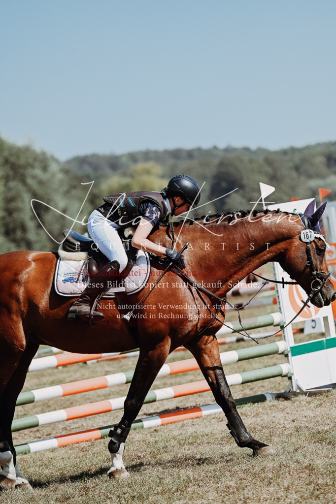 DSC_9813 | Pferde- und Turnierfotografie in Westsachsen. Pferdeportraits, Auftragszeichnungen und intuitive Kunst.