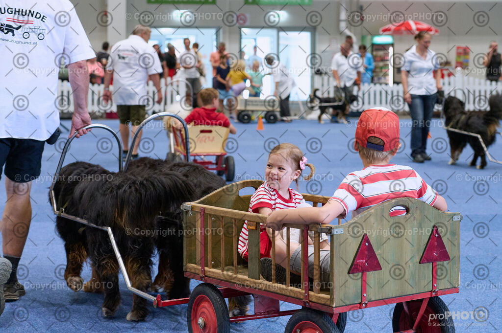 202406_ÖKV-IHA-Tulln24_DSC_4681 | proPHOTO - Realisiert mit Pictrs.com