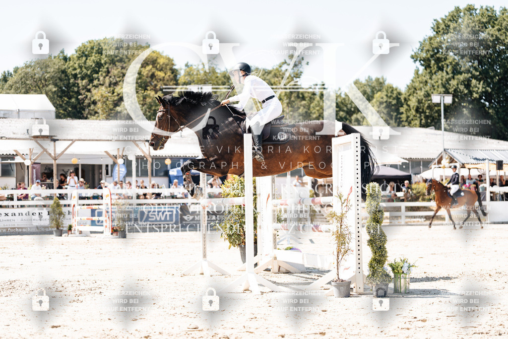 CK909953 | Turnierfotografie Pferdefotografie Trier Rheinland-Pfalz Pferdesport Reitsport Tierfotografie Sportfotografie Pferdevideo Pferdevideografie Equestrianvideography equestrianphotography  - Realisiert mit Pictrs.com