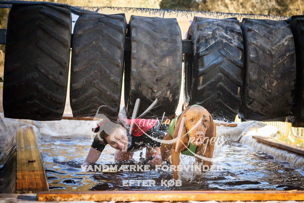 0933_ZZ91301 | kk-dogfotos