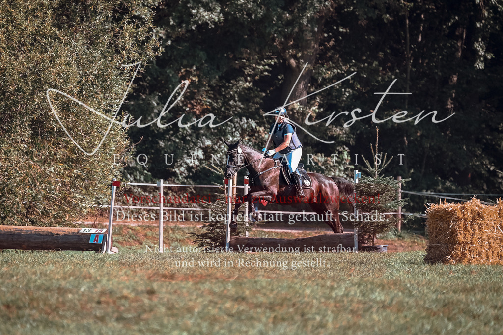 DSC_0592 | Pferde- und Turnierfotografie in Westsachsen. Pferdeportraits, Auftragszeichnungen und intuitive Kunst.