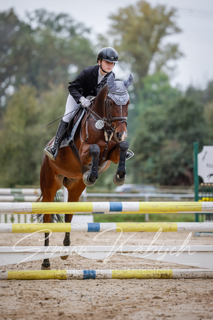 20251012-_3LI3384 | Tierfotografie Pferde, Hunde, Katzen, Haustiere.
Turnierfotografie Reitturniere, Reiten, Springreiten, Dressur in Hanau, dem Main-Kinzig-Kreis und dem Rhein-Main- Gebiet um Frankfurt