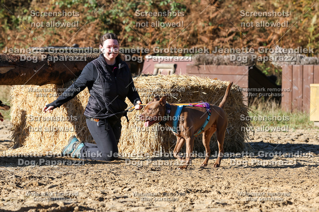 Dog Paparazzi - Strongdog 10-25-2002 | Dog Paparazzi Jeanette Grottendiek Fotografie & Videografie - Realisiert mit Pictrs.com