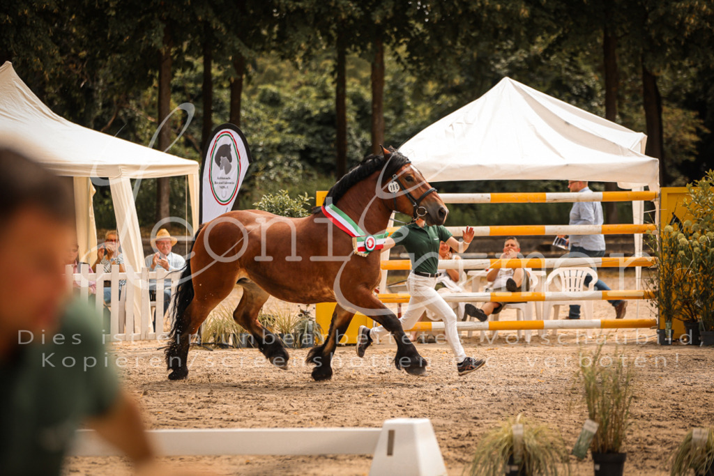 SaSieger00066 | Leoni Ertmer Photography - Realisiert mit Pictrs.com