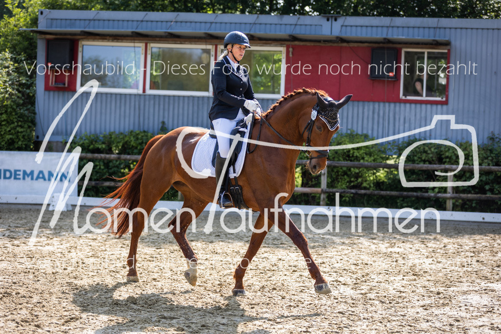 Donop24-A2-Dre-044 | MomenTaufnahmen Pferdesportfotos