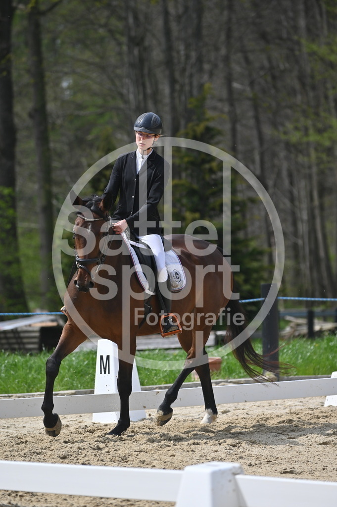 DSC_3397 | sattelsport - Realisiert mit Pictrs.com