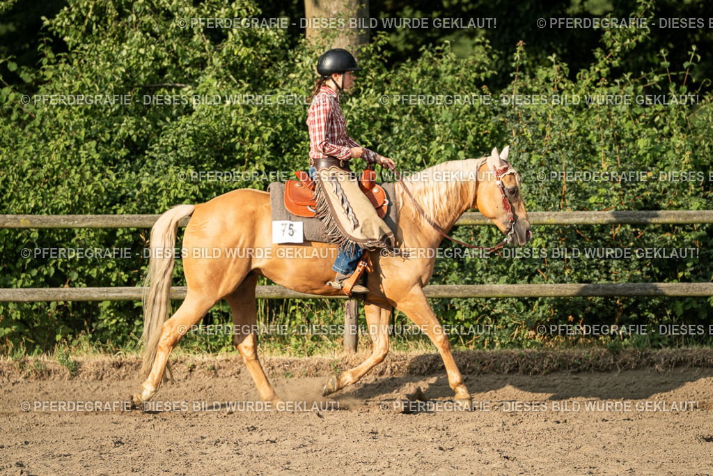 DSC06156 | Pferdegrafie