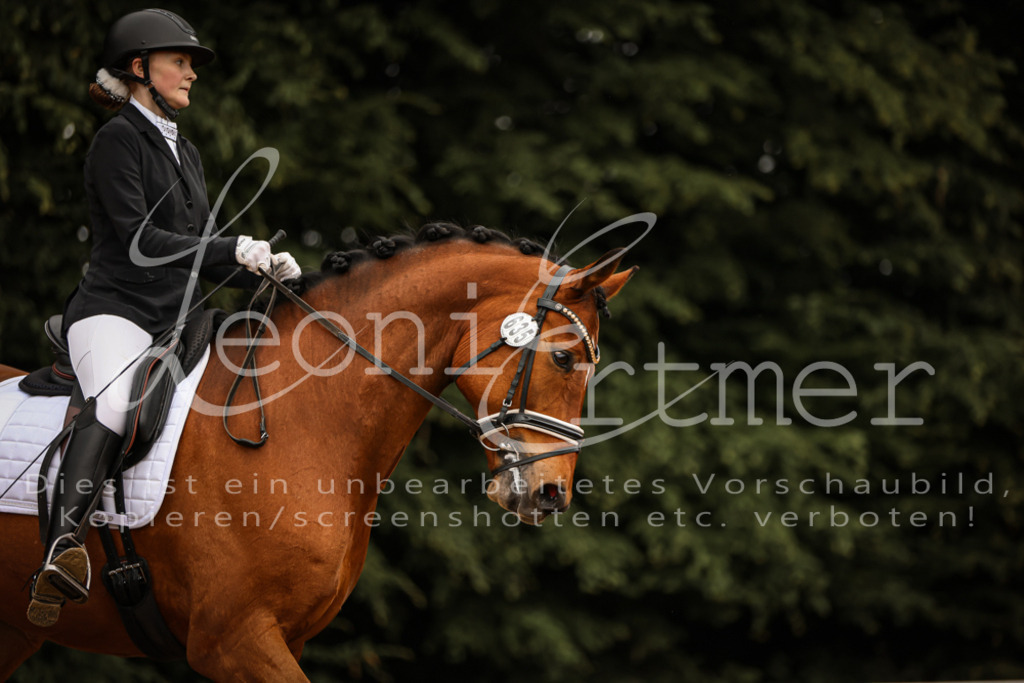 DoDrA200085 | Leoni Ertmer Photography - Realisiert mit Pictrs.com